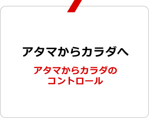 アタマからカラダへ